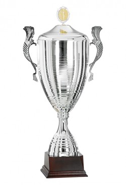 Coupe Personnalisée Métal : 7621W-C