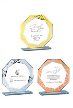 Trophée Verre Personnalisé 160-41-CLI