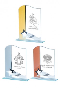 Trophée Verre Personnalisé 161-51-CLI