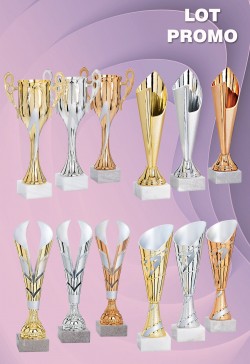 Lot de 12 Coupes : 2026-2