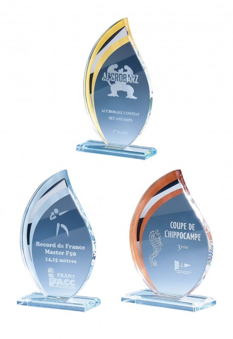 Trophée Verre Personnalisé 170-01-CLI
