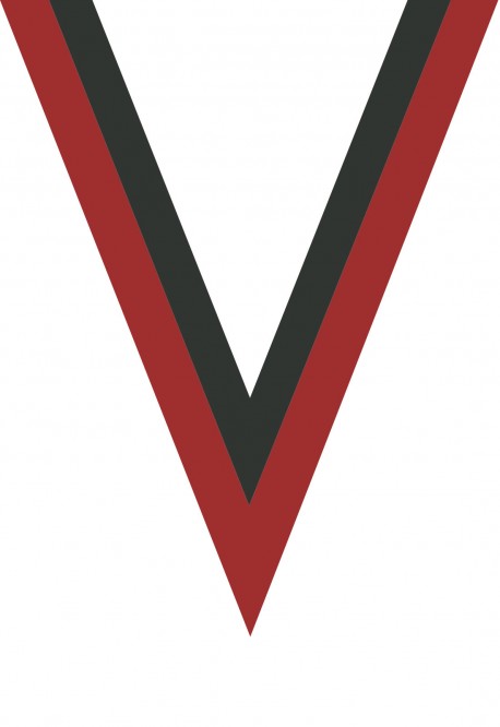 Ruban Médaille  Rouge/Noir  : 6031