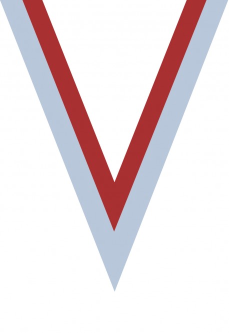 Ruban Médaille  Rouge/Blanc  : 6035