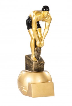 Trophée Natation 71520