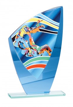 Trophée Verre Judo 66208