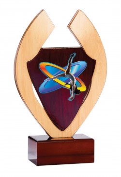 Trophée Bois Personnalisé 125-21-BJ