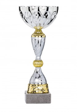 Coupe Économique Métal : 2101