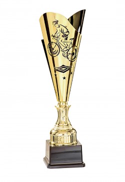 Coupe Laser Métal Cyclisme  : 35505