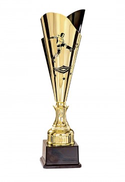 Coupe Laser Métal Football  : 35509