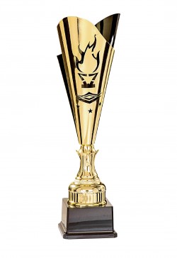 Coupe Laser Métal Flambeau  : 35514