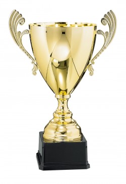 Coupe Prestige Métal : 6531