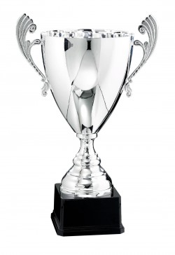 Coupe Prestige Métal : 6521