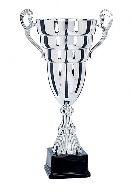 Coupe Prestige Métal : 6691