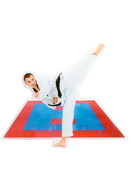 Trophée Judo 14105-MJ37