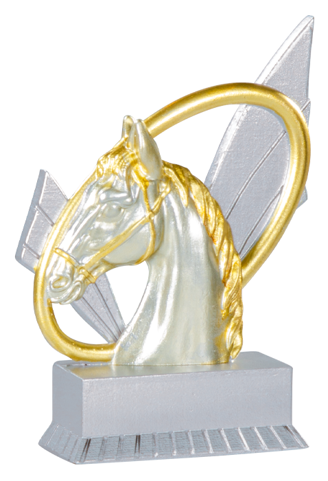 Trophée Equitation 31407