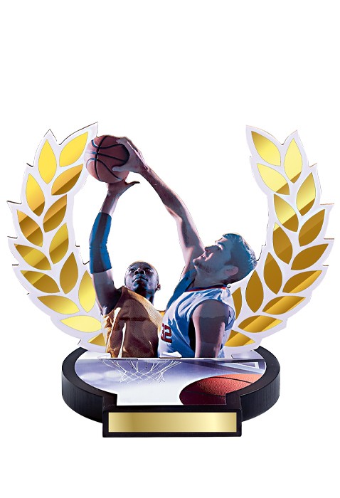 Trophée Bois Basket 56502