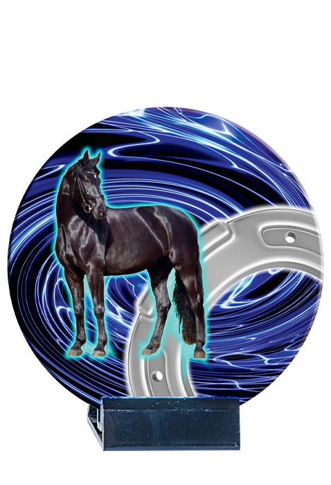 Trophée Céramique Equitation B04