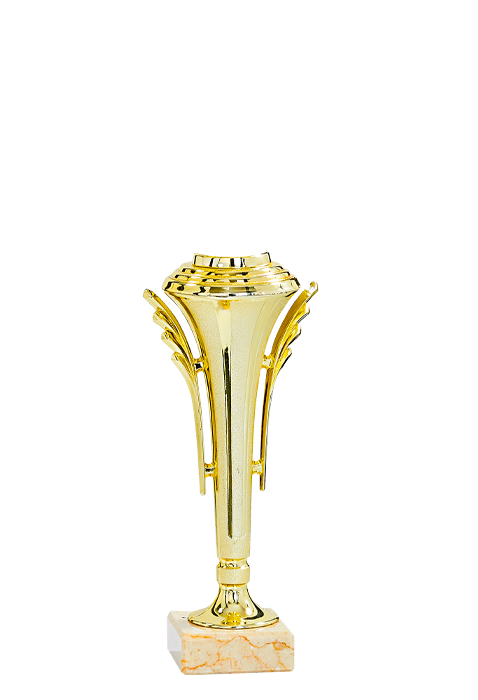 Trophée Personnalisé Figurine 143-71-D