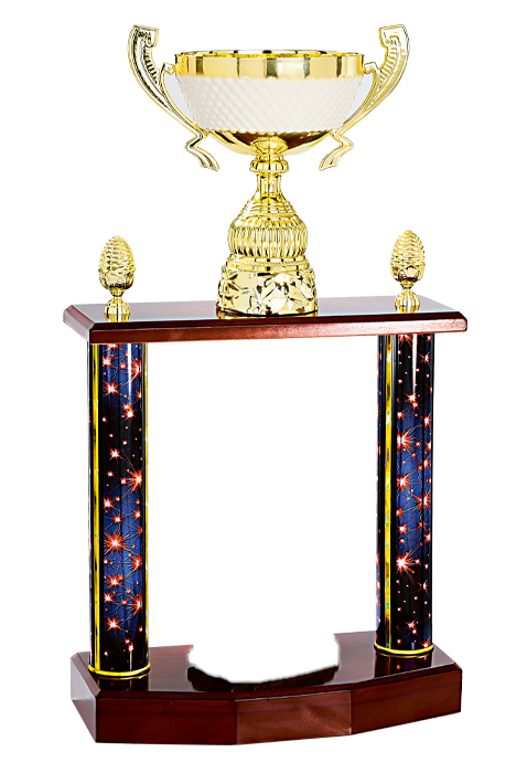 Trophée Personnalisé Figurine 148-94-RM
