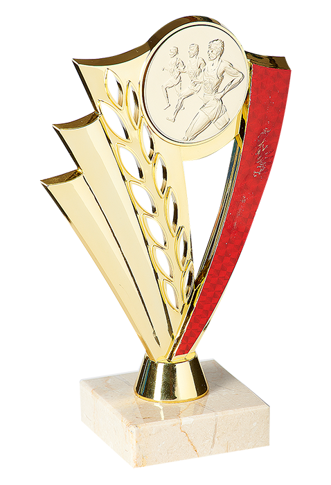 Trophée Personnalisé Médaillon 133-49-C