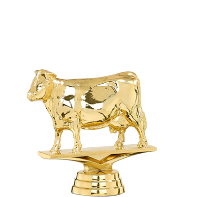 Trophée Personnalisé Figurine 143-81-D