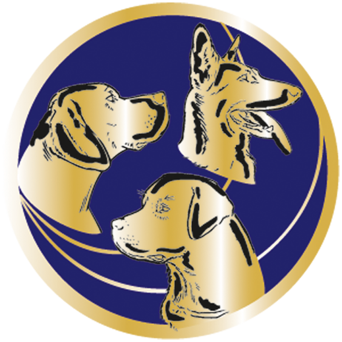 Trophée Personnalisé 31432-C
