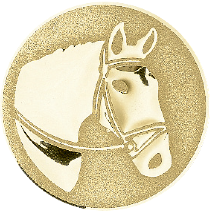 Trophée Personnalisé 31432-C