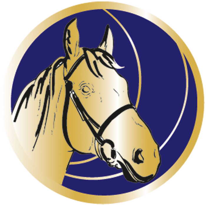 Trophée Personnalisé 61418-C