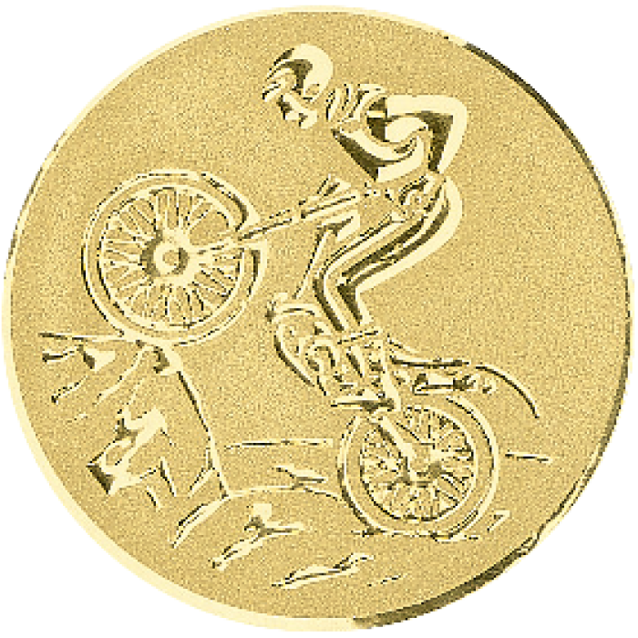 Trophée Personnalisé 31432-C
