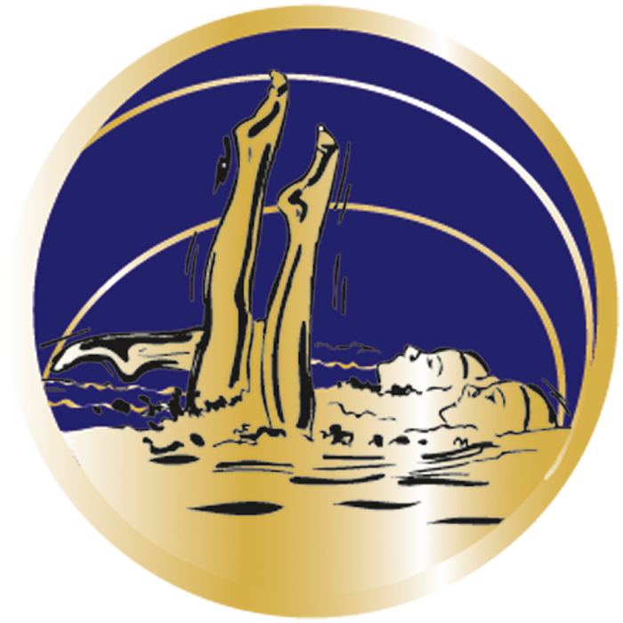 Médaille Personnalisée Ø 70 mm - 016